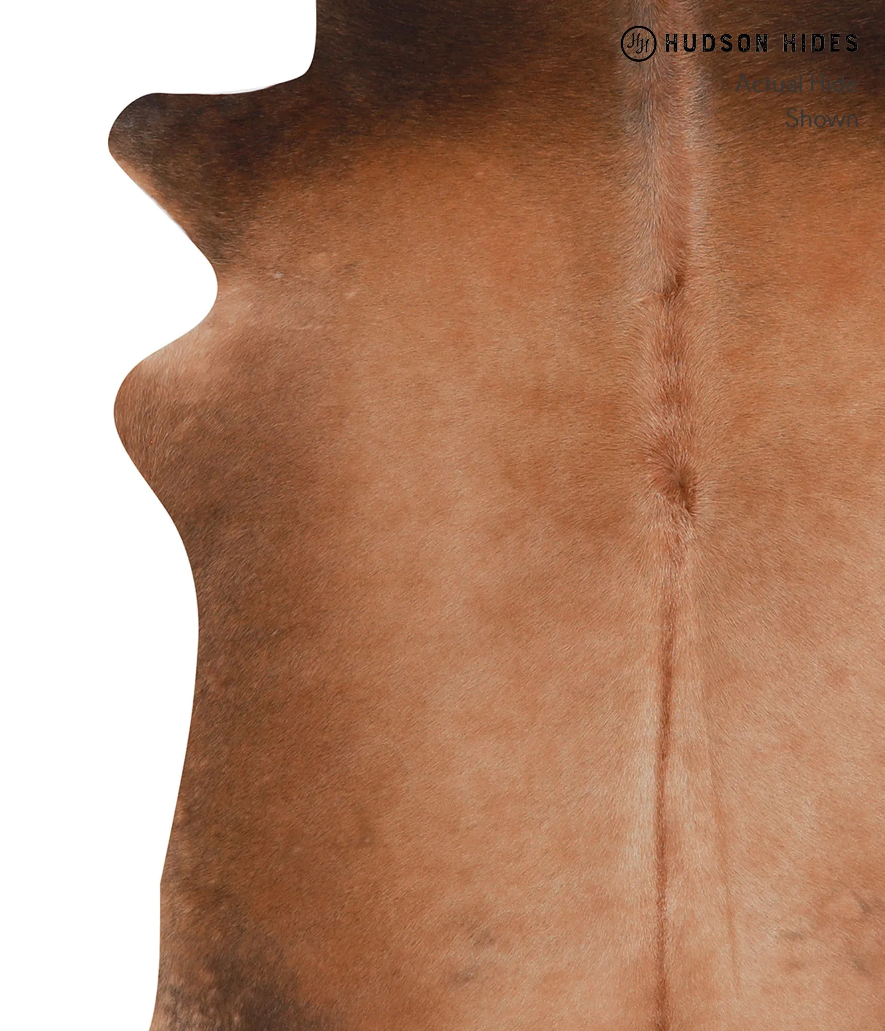 Warm Caramel Large Brazilian Cowhide Rug 6'5"H x 5'10"W #A8440 by Hudson Hides