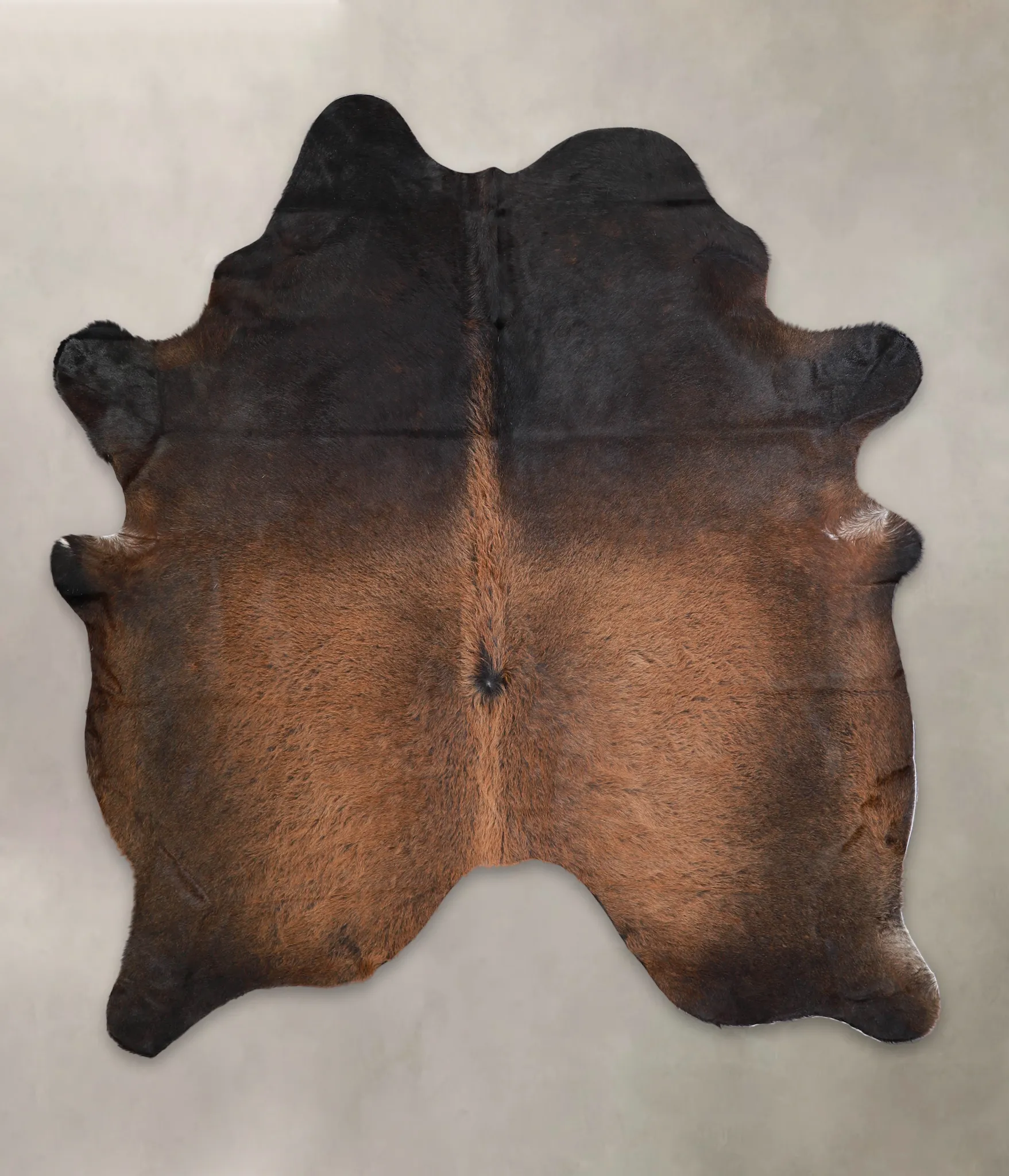 Warm Caramel X-Large Brazilian Cowhide Rug 6'9"H x 6'2"W #A22089 by Hudson Hides