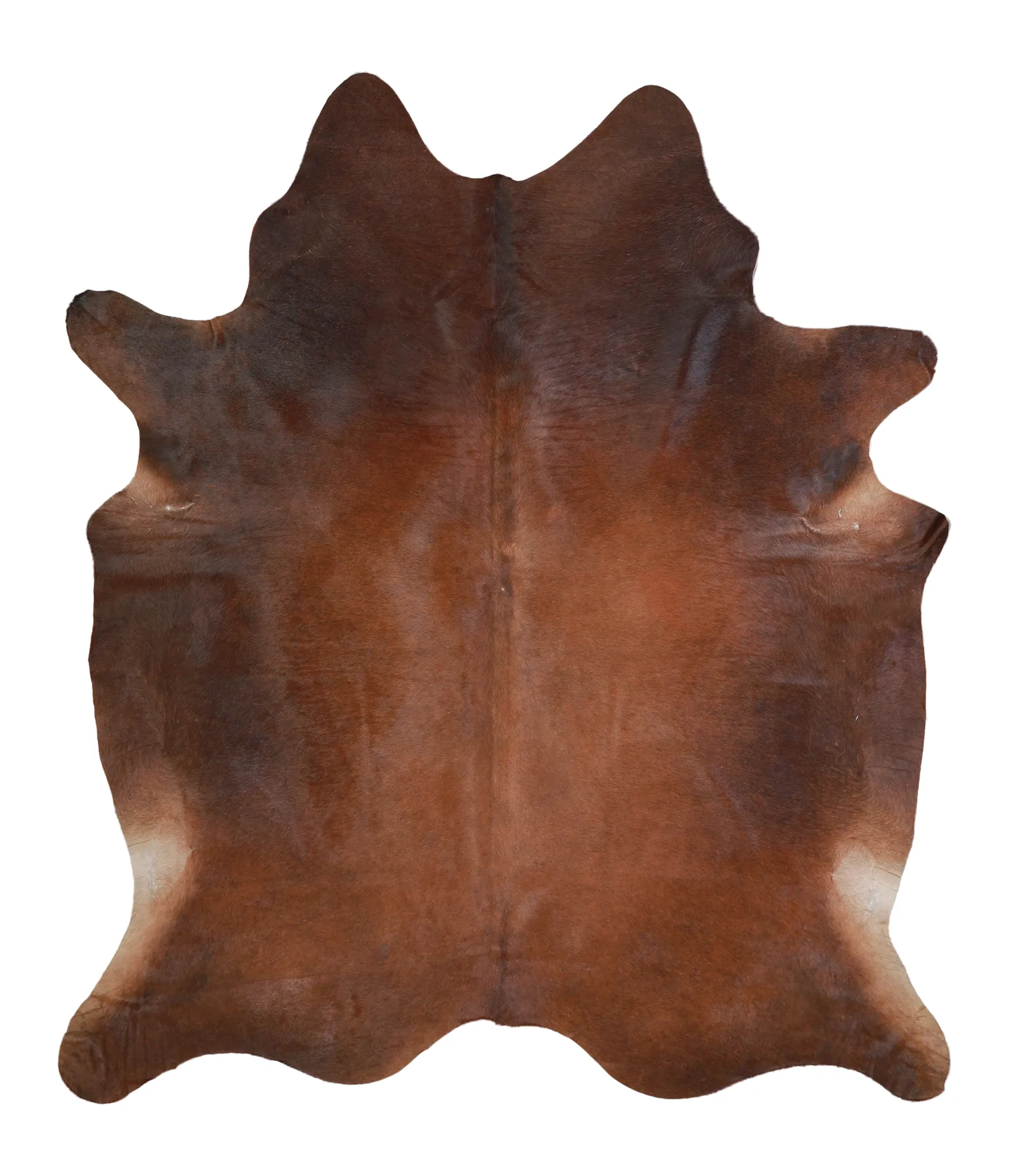 Warm Caramel X-Large Brazilian Cowhide Rug 7'4"H x 6'3"W #A21731 by Hudson Hides