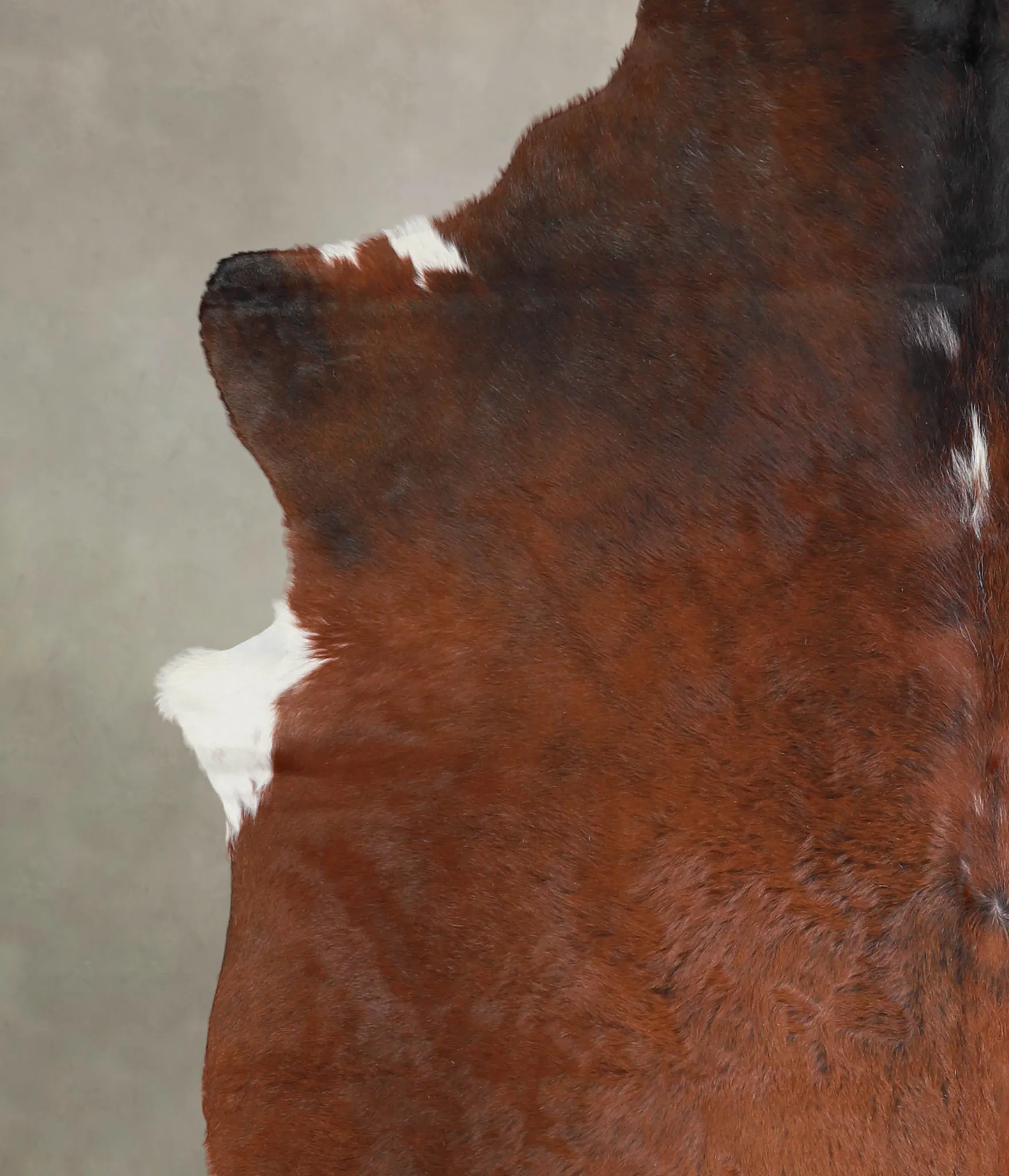 Warm Caramel XX-Large Brazilian Cowhide Rug 7'11"H x 6'11"W #A24789 by Hudson Hides