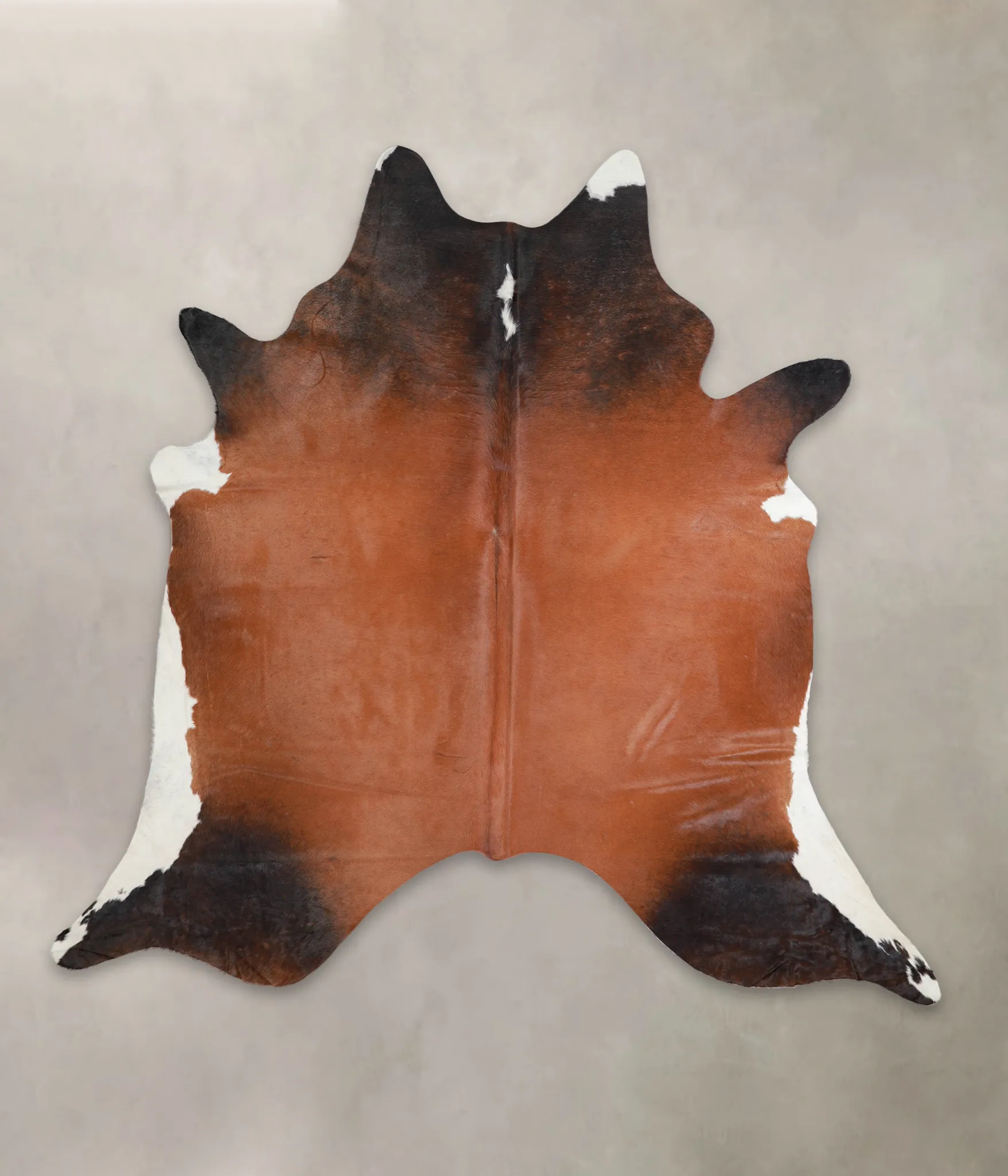 Warm Caramel XX-Large Brazilian Cowhide Rug 7'3"H x 7'5"W #A23370 by Hudson Hides